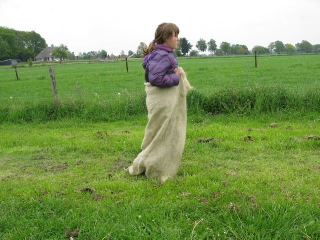 HWK2010 210.jpg